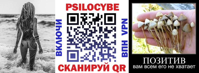 Псилоцибиновые грибы Cubensis  Апшеронск 